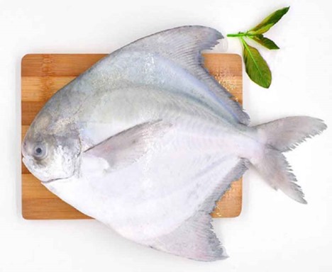 ارزش غذایی ماهی حلوا صافی