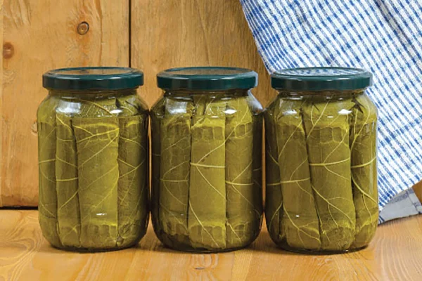 سفر به ذائقه‌های اصیل: کنسرو برگ مو، جواهری از فرهنگ اصفهان