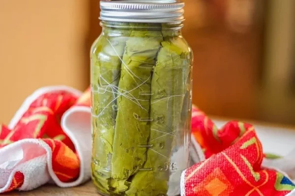 طعمی از تاریخ: کنسرو برگ مو، نماینده‌ای از هنر و سنت ایرانی