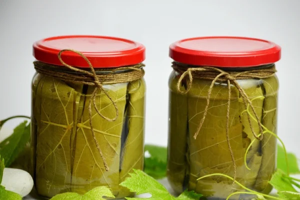 بازگشت به ریشه‌ها: کنسرو برگ مو، بازتابی از زندگی و تاریخ اصفهان