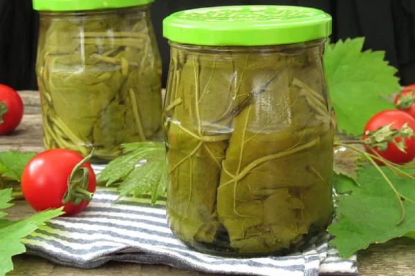 میراثی که تاجیک می‌لرزاند: کنسرو برگ مو و آواز اصفهانی طعم‌های گذشته