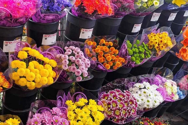 دکوراسیون زیبا و جذاب گلفروشی گل آوین