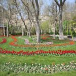 جشنواره گل لاله 1404