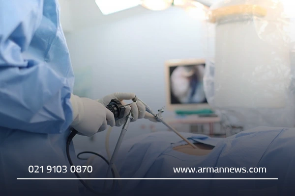 عمل کیسه صفرا چیست؟