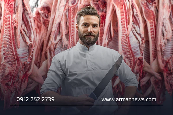 نکاتی برای نگهداری گوشت در خانه