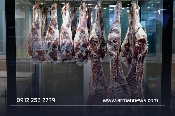 بهترین قصابی در قم