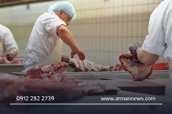 نکات مهم برای خرید گوشت تازه در قم