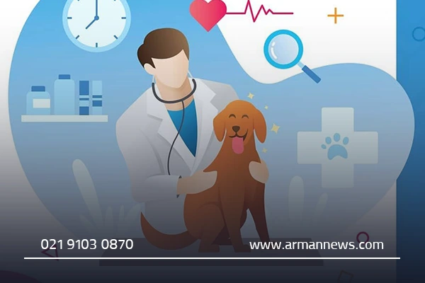 لیست کلینیکهای دامپزشکی قم