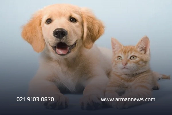 اهمیت مراجعه به دامپزشکی قم