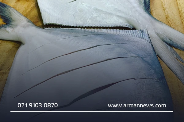 تفاوت ماهی حلوا سیاه با ماهی حلوا سفید